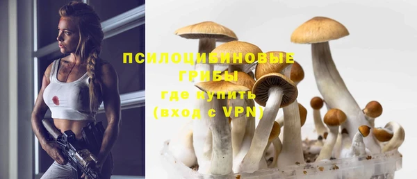винт Гусев