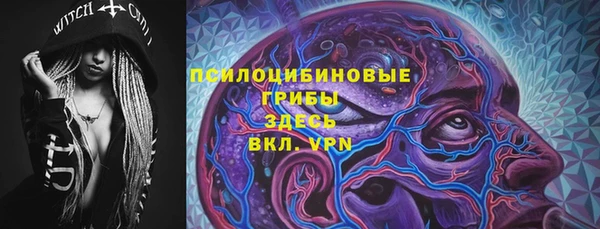 винт Гусев