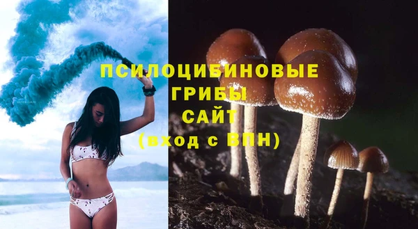 ECSTASY Гусиноозёрск