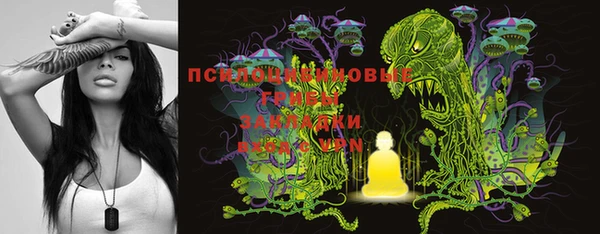 винт Гусев