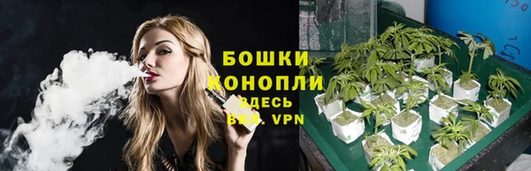 винт Гусев